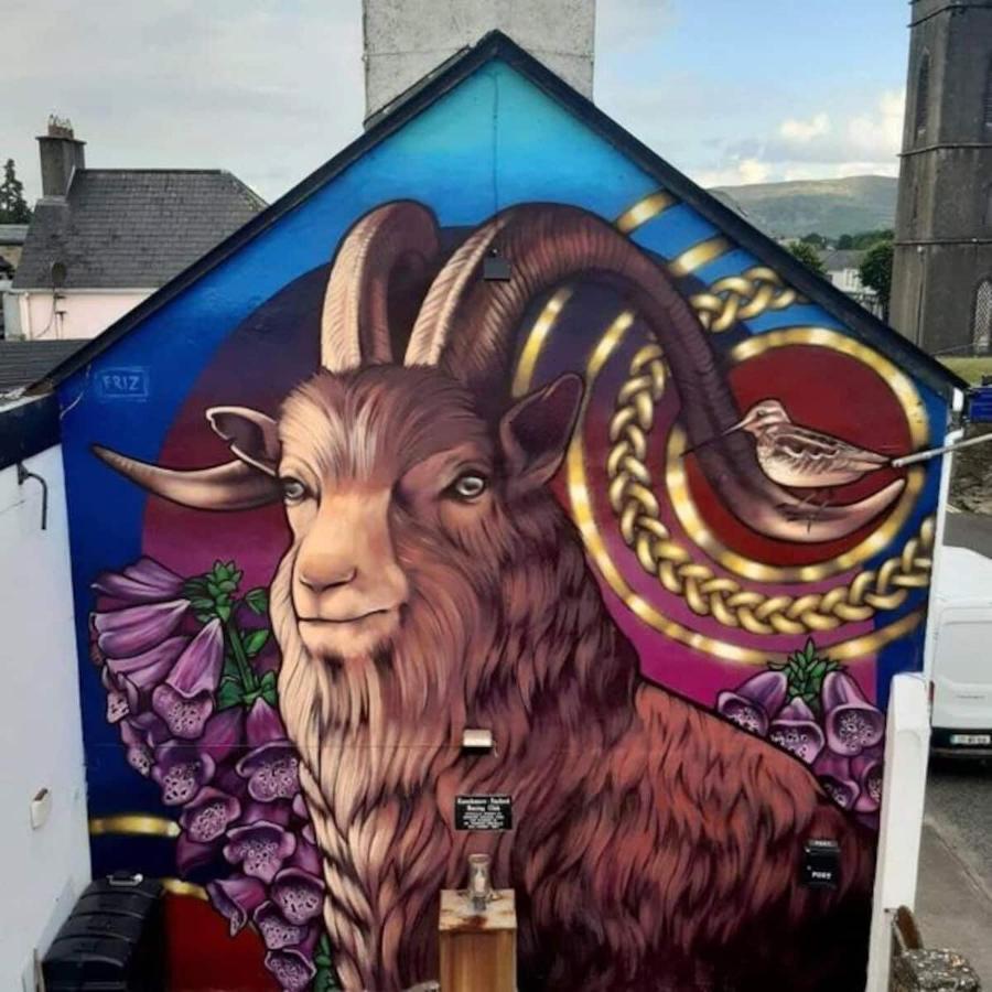 'Senán' Luxury Double Room Foxford Exterior foto